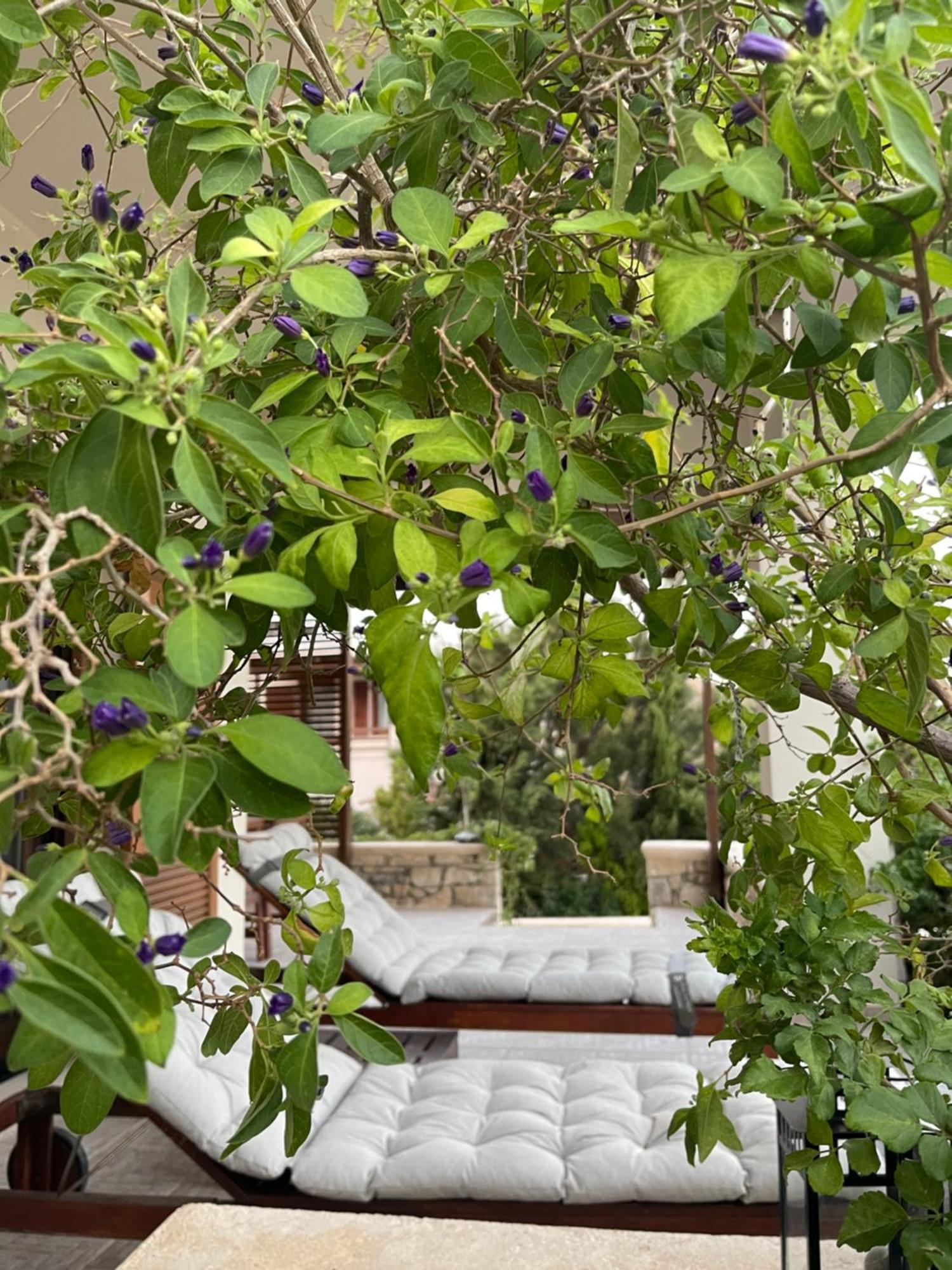 Natica Mare Villas 크시로캄보스 외부 사진
