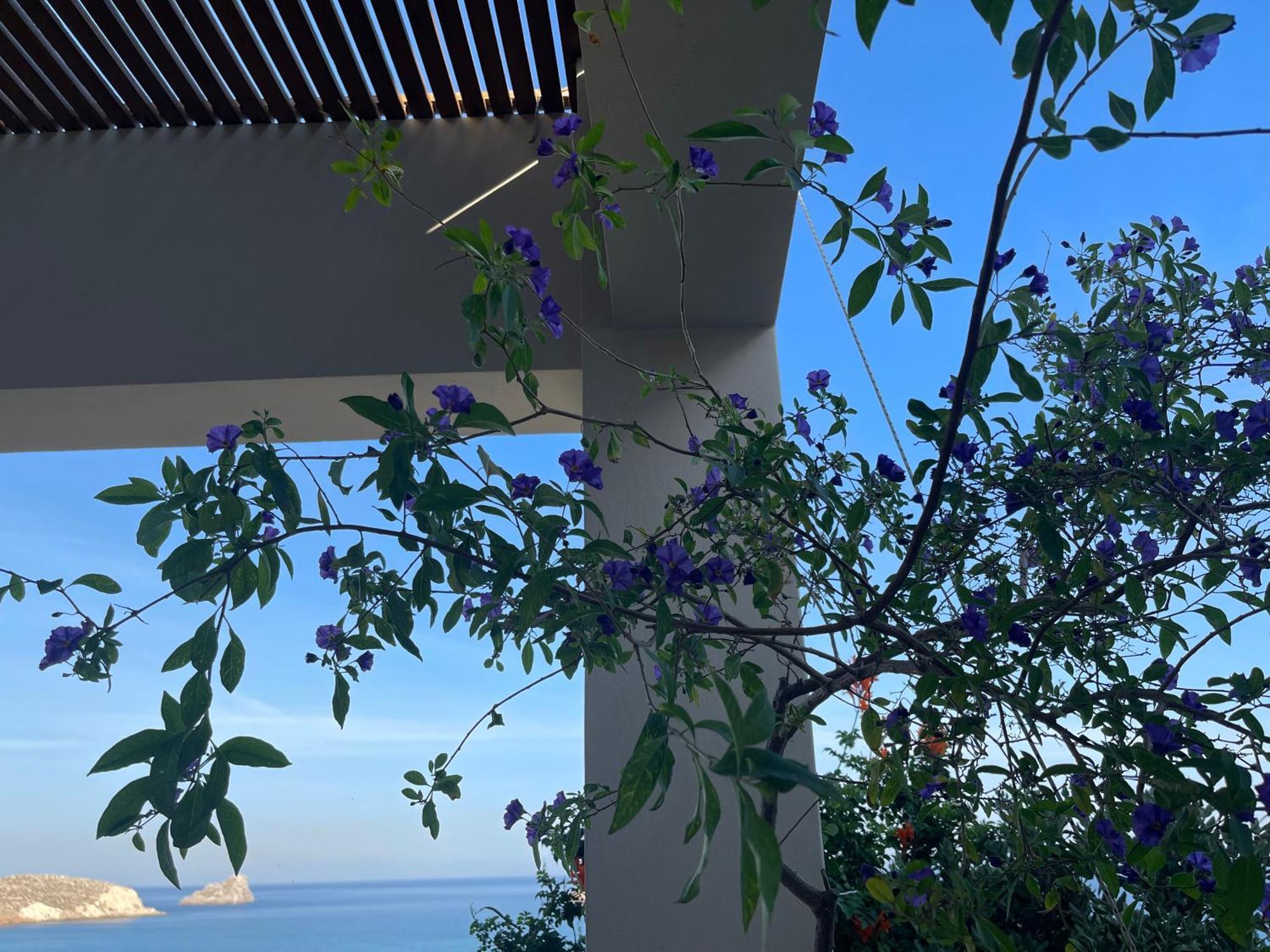 Natica Mare Villas 크시로캄보스 외부 사진